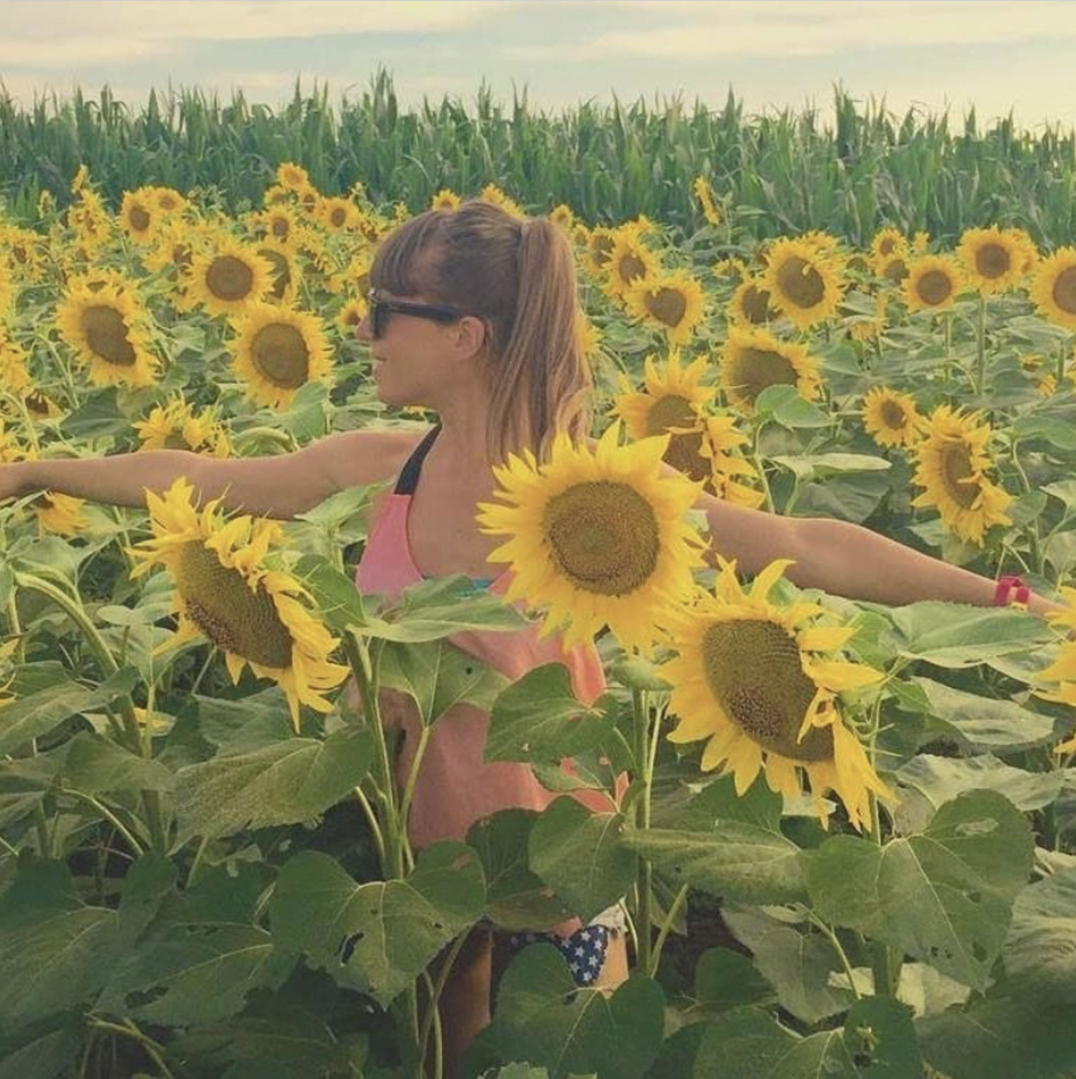 Dana Nikolic Sunflowers