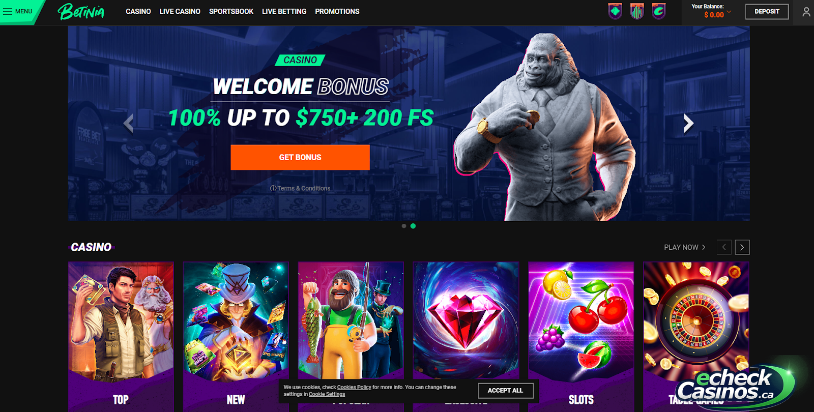 Betinia welcome page