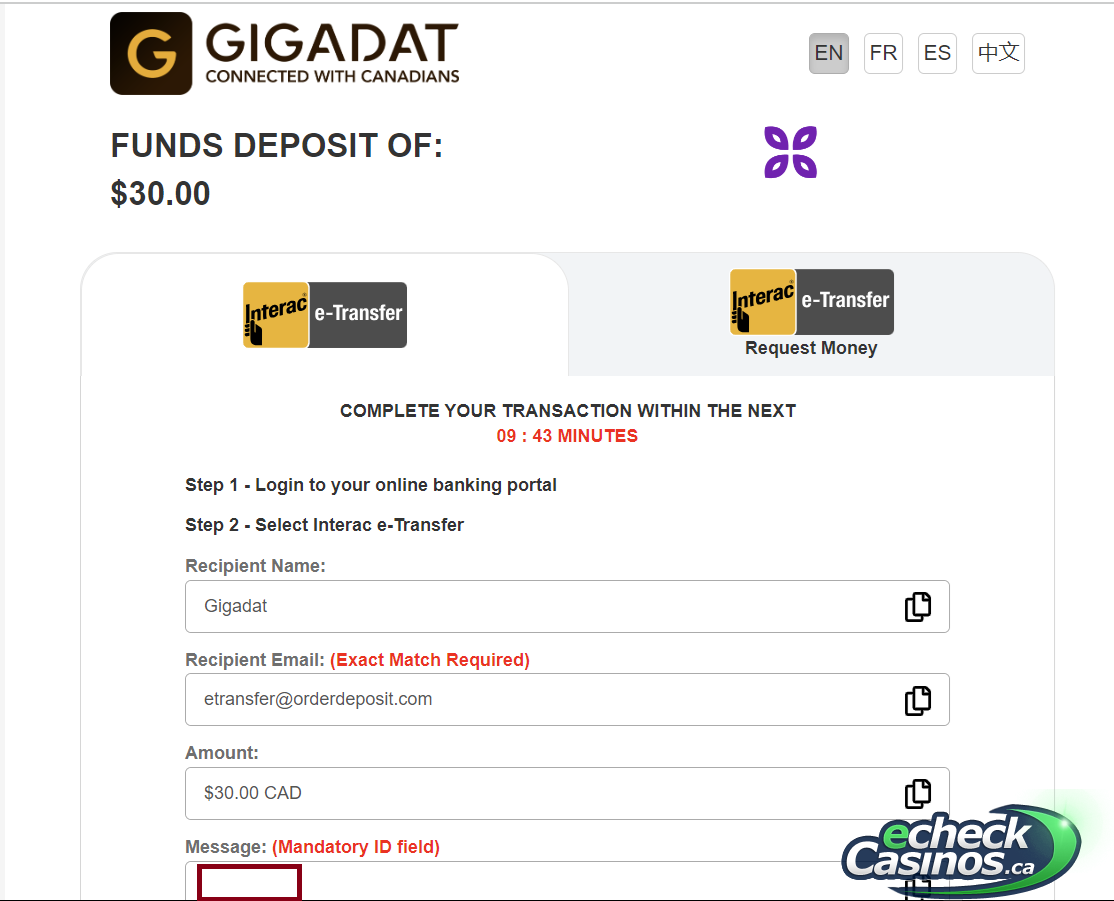 Gigadat Payment screen with timer showing two options: Interac e-transfer or Interac Request Money.