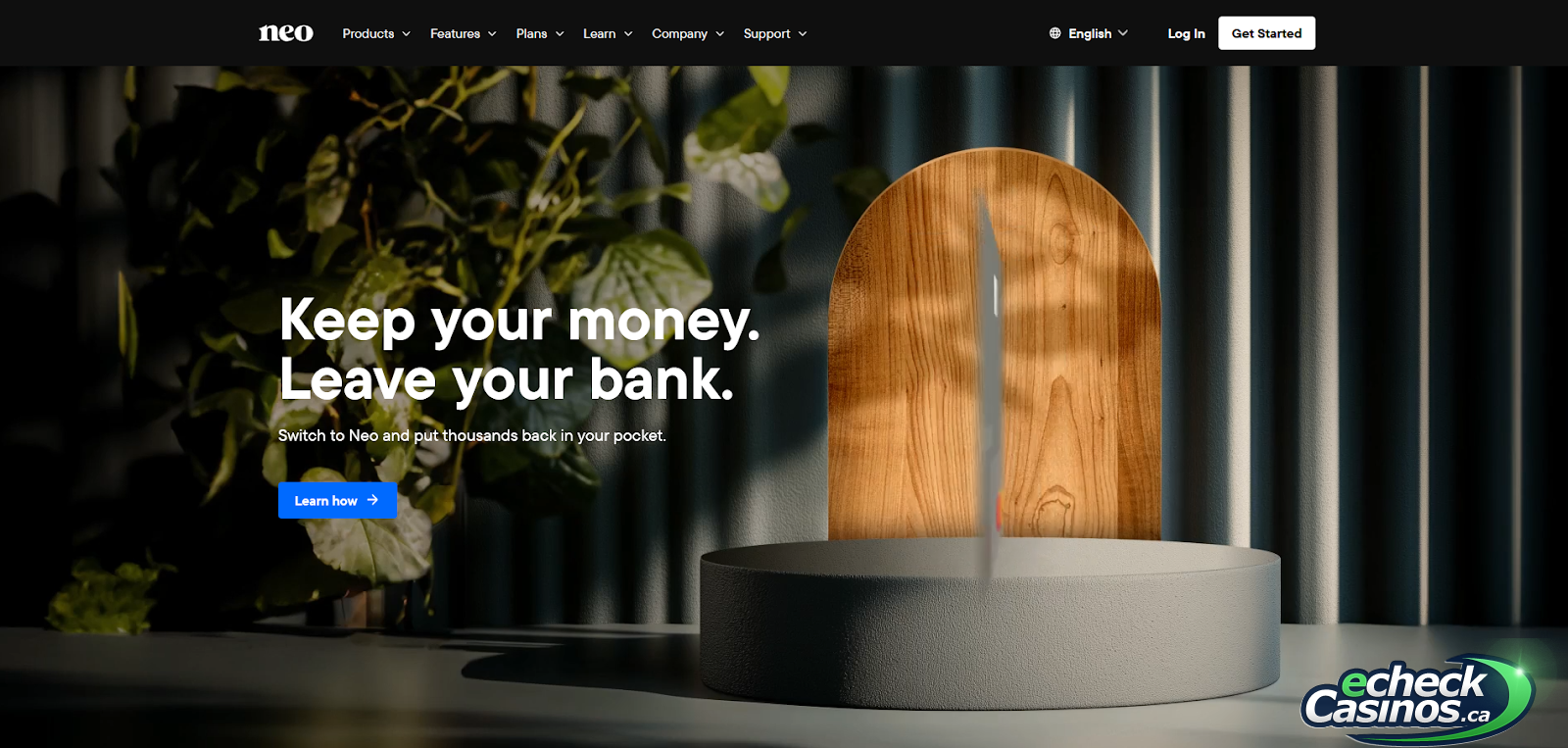 Neo financial homepage