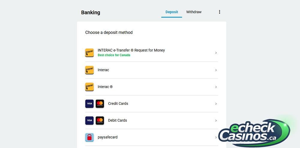 Payment selection screen showing different implementations of Interac