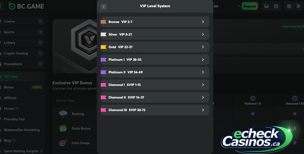 BC.Game VIP level system clearly shown